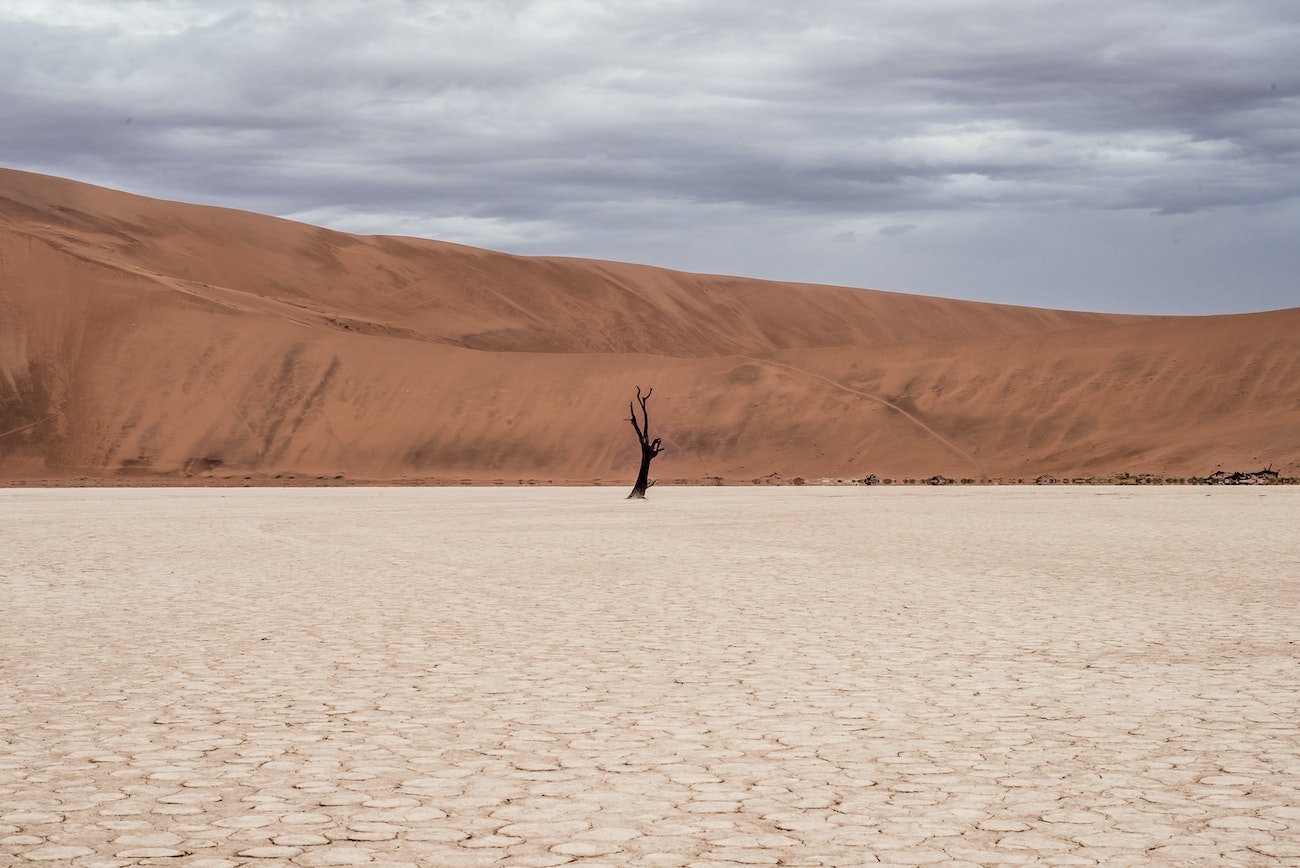 Una zona desértica