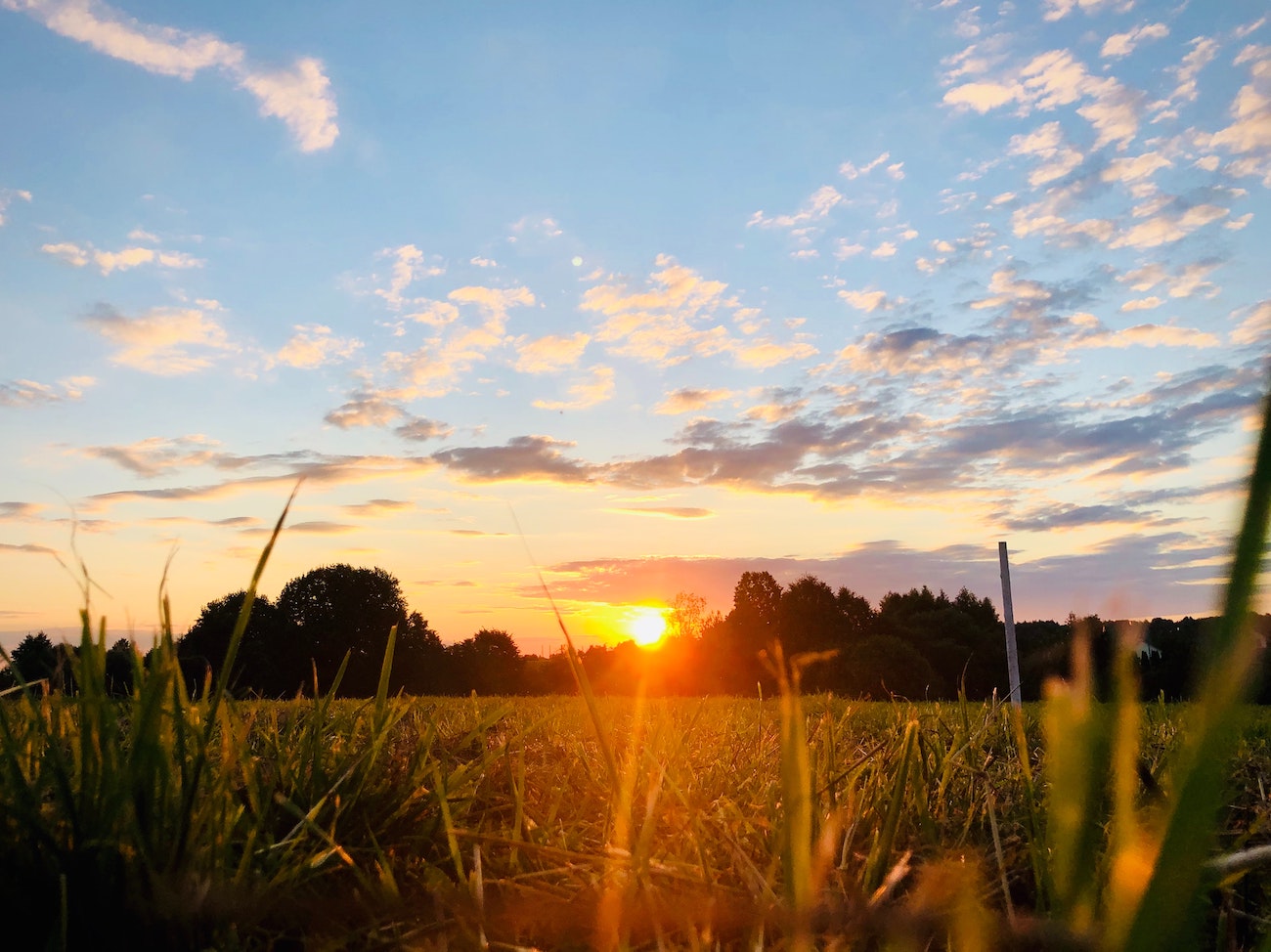 El sol ilumina un prado